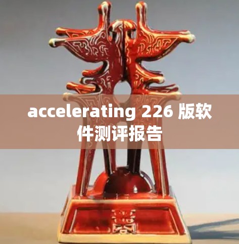 accelerating 226 版软件测评报告