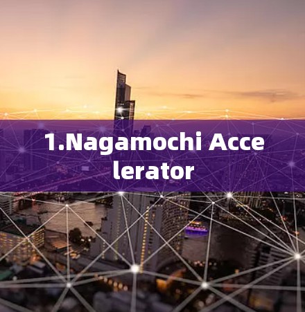 1.Nagamochi Accelerator