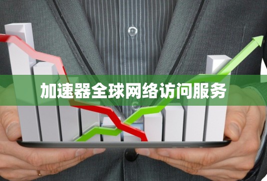 加速器全球网络访问服务
