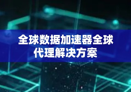全球数据加速器全球代理解决方案