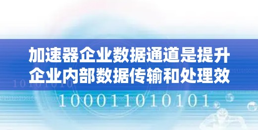 加速器企业数据通道是提升企业内部数据传输和处理效率的关键基础设施。以下是对加速器企业数据通道的详细分析