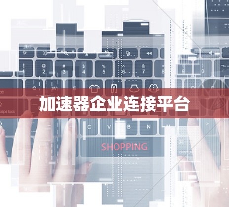 加速器企业连接平台