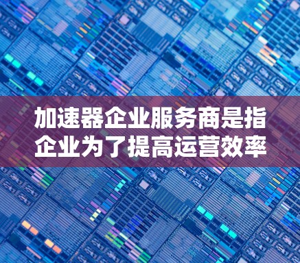 加速器企业服务商是指企业为了提高运营效率而使用的技术工具和服务，帮助企业在生产、供应链、数据分析等领域优化流程。以下是对加速器企业服务商的详细分析