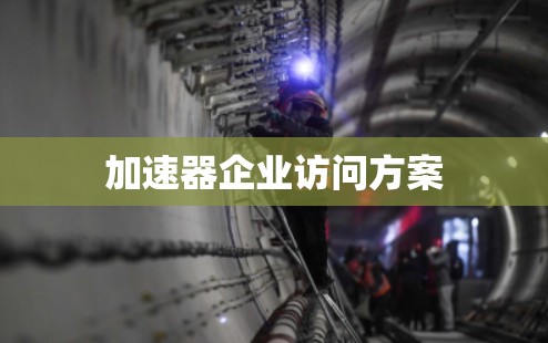 加速器企业访问方案