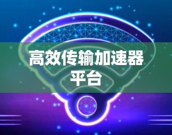 高效传输加速器平台