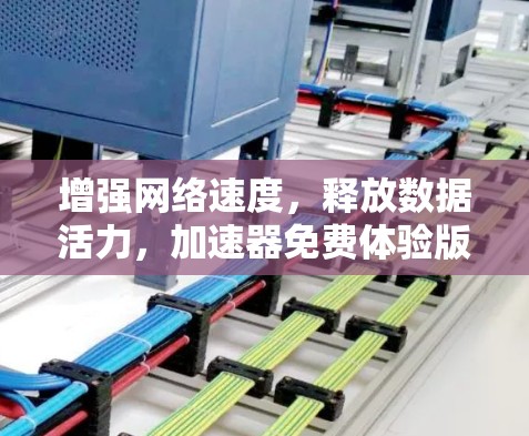 增强网络速度，释放数据活力，加速器免费体验版全面解析