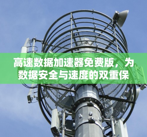 高速数据加速器免费版，为数据安全与速度的双重保障