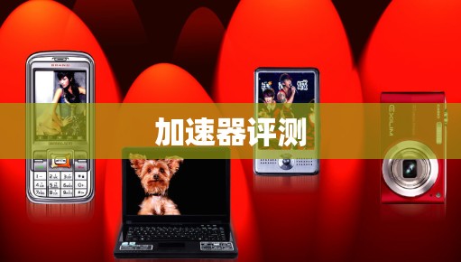 加速器评测