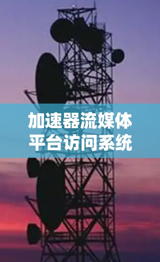 加速器流媒体平台访问系统设计指南