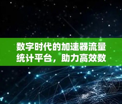 数字时代的加速器流量统计平台，助力高效数据管理与分析