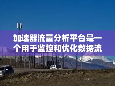 加速器流量分析平台是一个用于监控和优化数据流量的系统，主要功能包括数据记录、分析和可视化。以下是关于该平台的详细信息