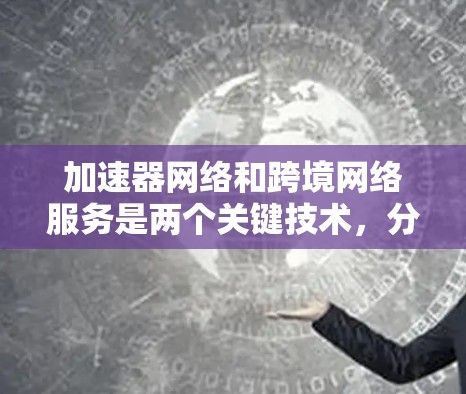 加速器网络和跨境网络服务是两个关键技术，分别用于提高特定区域内的网络性能和跨境数据传输。以下是它们的详细分析和应用