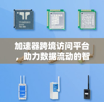 加速器跨境访问平台，助力数据流动的智能桥梁