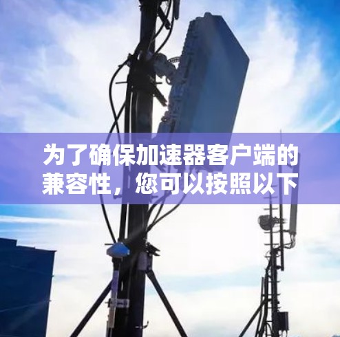 为了确保加速器客户端的兼容性，您可以按照以下步骤进行检查和优化