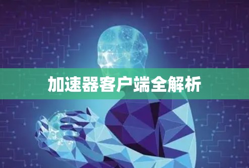 加速器客户端全解析