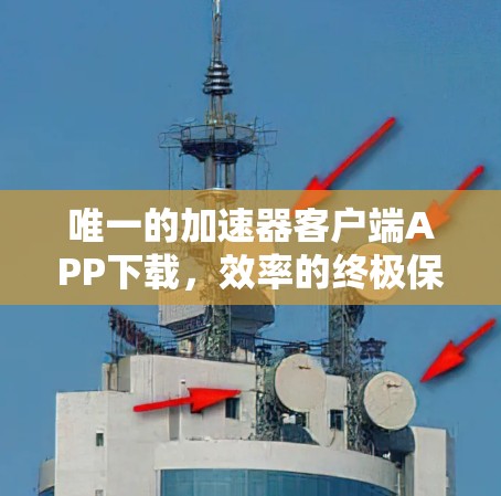 唯一的加速器客户端APP下载，效率的终极保障