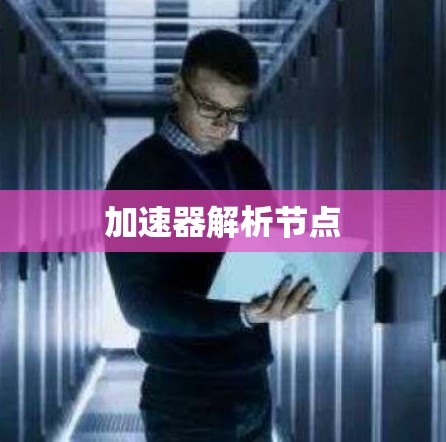 加速器解析节点 加速器解析节点