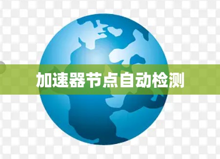 加速器节点自动检测