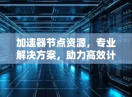 加速器节点资源，专业解决方案，助力高效计算
