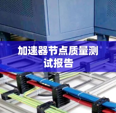加速器节点质量测试报告